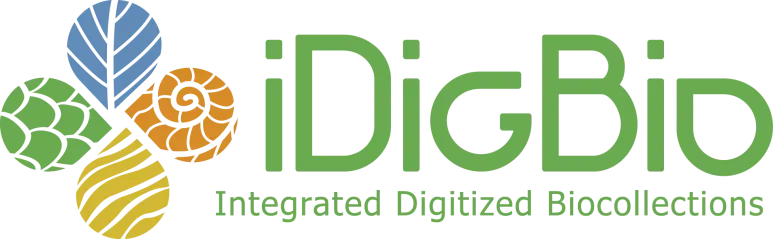 iDigBio-logo