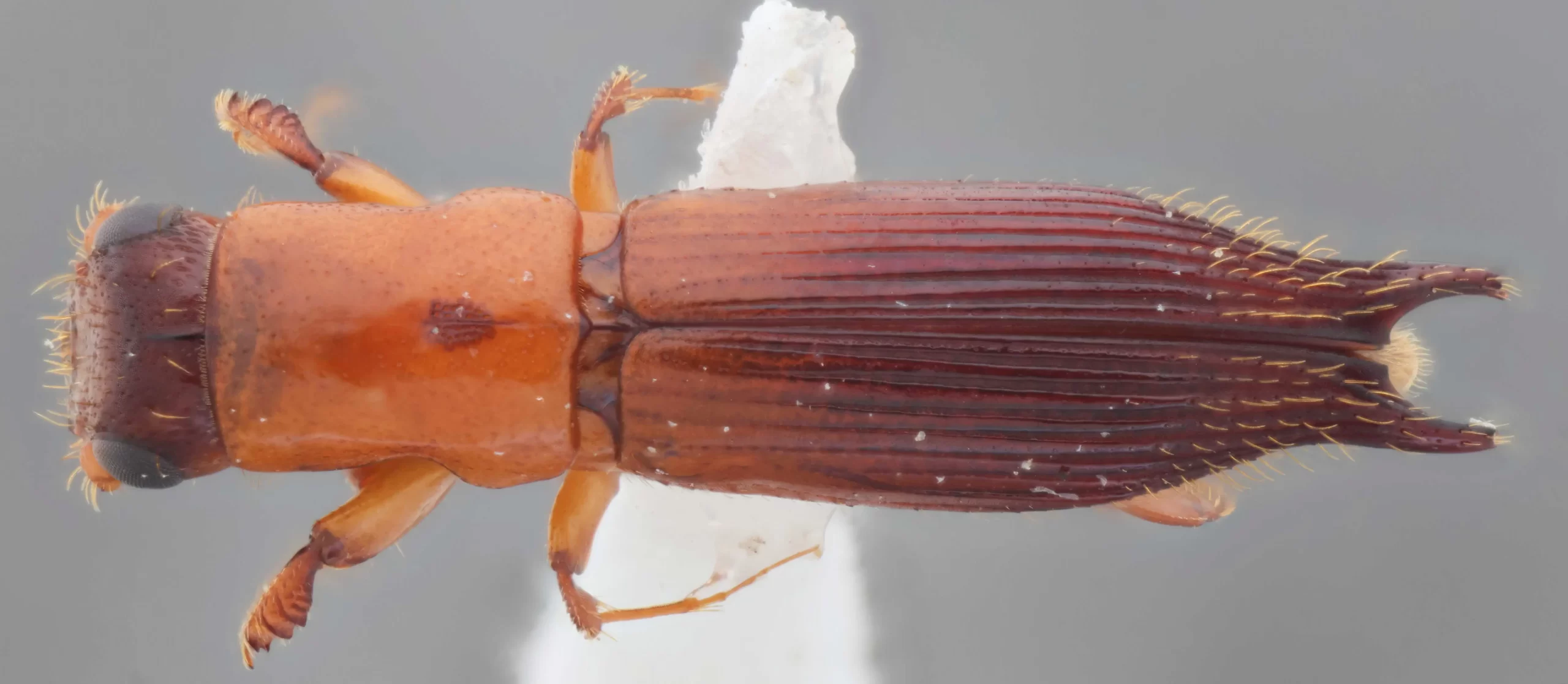 250731-143541-stacked-vCTxZfTkqelK